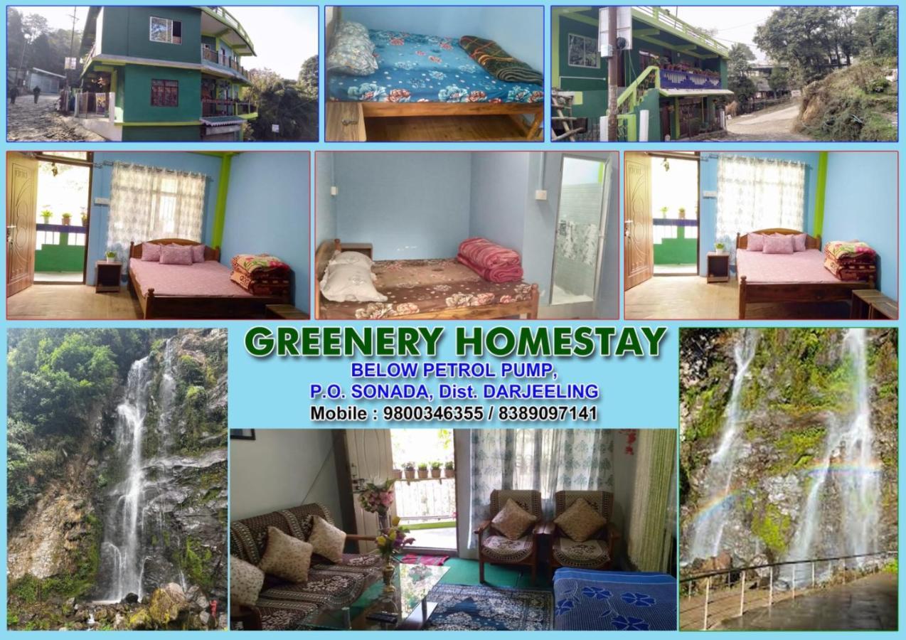 Greenery Homestay ダージリン エクステリア 写真